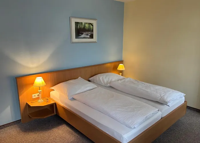 Hotell Restaurant Zum Jaegerheim 3*